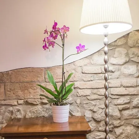La Casa Di Sara *
